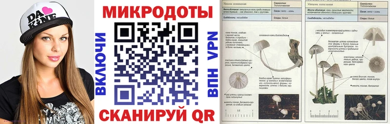 Купить  Саяногорск  Псилоцибиновые грибы Cubensis 