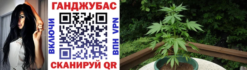Купить  Саяногорск  Бошки марихуана конопля 
